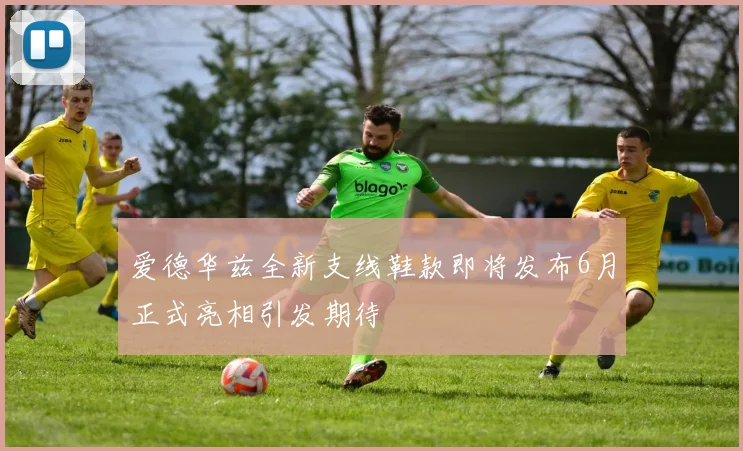 爱德华兹全新支线鞋款即将发布6月正式亮相引发期待