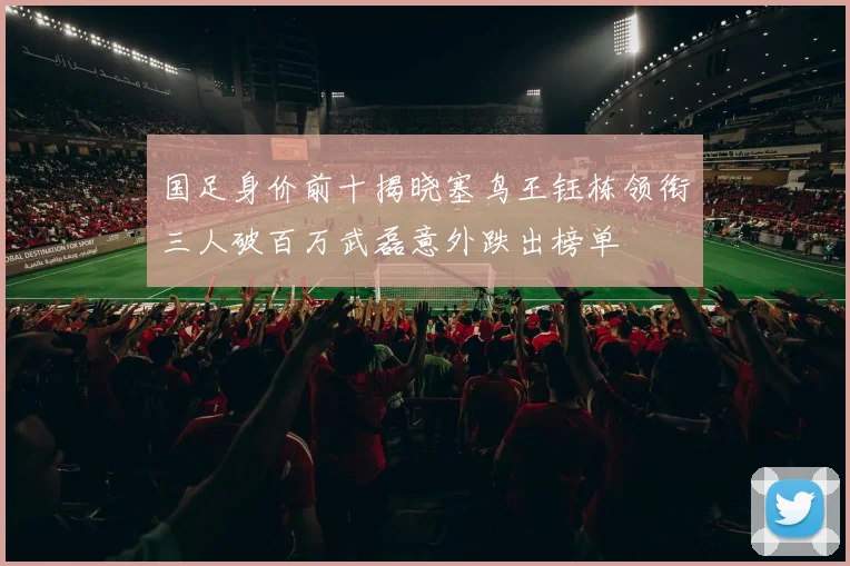 国足身价前十揭晓塞鸟王钰栋领衔三人破百万武磊意外跌出榜单
