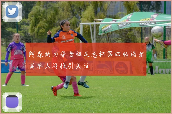 阿森纳力争晋级足总杯第四轮诺尔高单人海报引关注